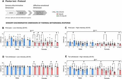 Preserved Thermal Pain in <mark class="highlighted">3xTg-AD Mice</mark> With Increased Sensory-Discriminative Pain Sensitivity in Females but Affective-Emotional Dimension in Males as Early Sex-Specific AD-Phenotype Biomarkers